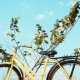 Things To Do in Fort Lauderdale