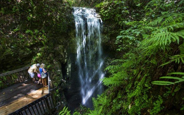 Outdoor State Parks in Fort Lauderdale