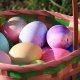 Family-Friendly Things to Do for Easter in Fort Lauderdale