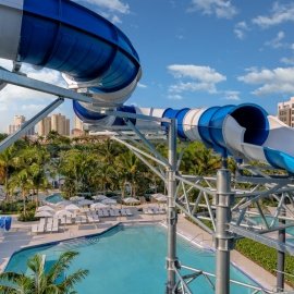 Cool Off at These Water Attractions in Miami