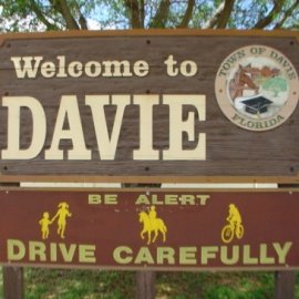 Davie profile image